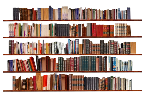 Our Professional Book Writers for Hire